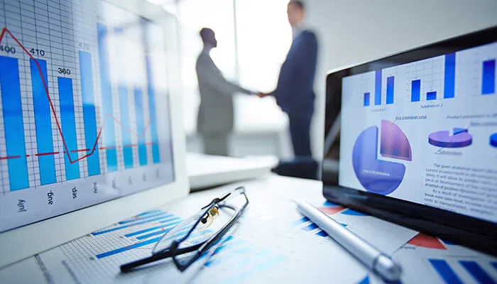 Why Every Business Owner in Dubai Needs Professional Auditing services?